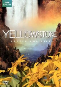 Yellowstone (BBC)